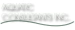 Aquatic Consultants Inc. International Pool Designer